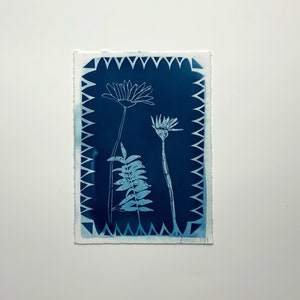 Daisies Cyanotype, Cyanotype Print-sun print, hand drawn print, 5&quot;x7&quot;, cyanotype print, monotype
