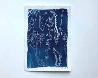 Collection Cyanotype Print-Cyanotype Print-sun print, hand drawn print, 5"x7", cyanotype print, monotype