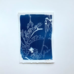 Garden Cyanotype, Cyanotype Print-sun print, hand drawn print, 5&quot;x7&quot;, cyanotype print, monotype