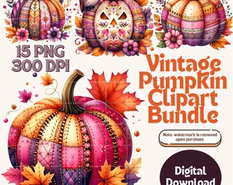 Whimsical Watercolor Pumpkin Clipart Bundle of 15 PNG 300 DPI Autumnal Clipart Autumn Watercolor Pumpkin Clipart Falling Pumpkins Clipart