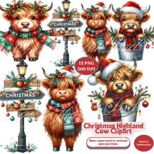 Kerst Highland Cow clipartbundel | Feestelijke hooglandkoe-illustraties voor vakantieambachten en meer! Feestelijke Highland Cow Art DIY-kerst