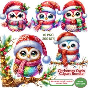 Paquete de imágenes prediseñadas de búho navideño 19 PNG Búho festivo acogedor para manualidades navideñas Tarjetas Amante de los búhos Imágenes prediseñadas de Navidad Imágenes prediseñadas de tarjetas navideñas Búho festivo