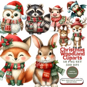 Bundle de cliparts animaux de la forêt de Noël 48 PNG, dessins numériques de vacances, téléchargement immédiat, amis de la forêt d'hiver, animaux de Noël mignons