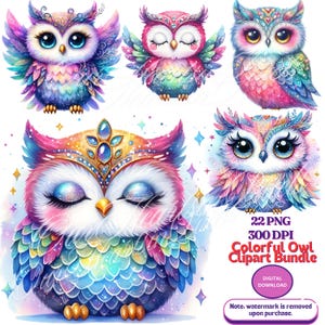 Eulen-Clipart-Bundle 22 PNG funkelnde Eule Sublimation Clipart Eulen Printables Bunte Eulen Aquarell Eule Digitaler Download Vogel Clipart 300DPI