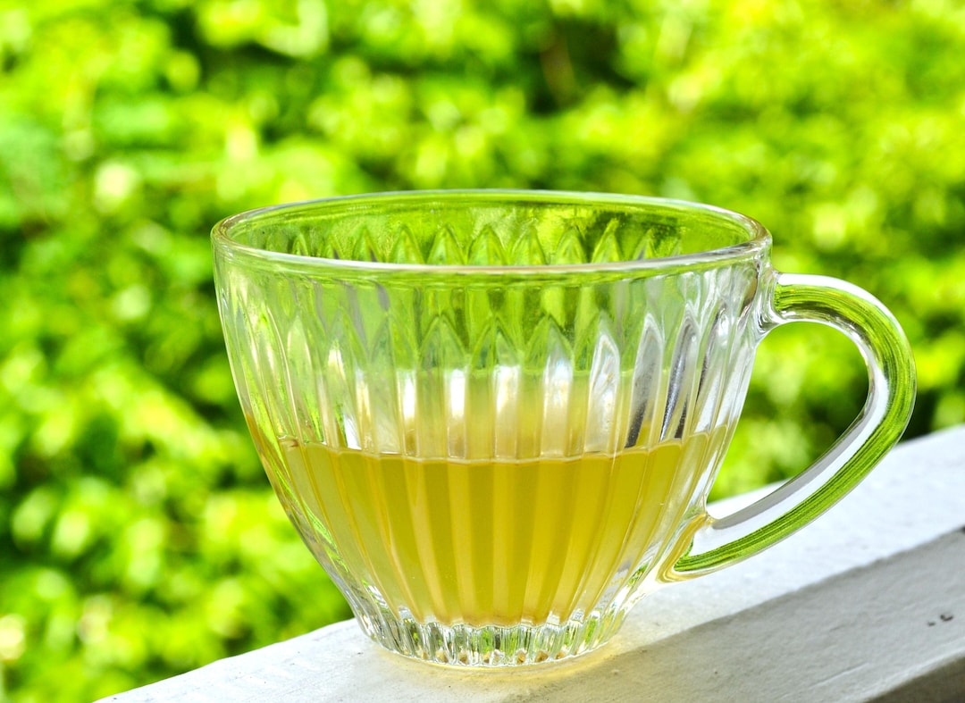 Tea Shell Green Tea + Shell Ginger Blend Herbal Tea - Etsy