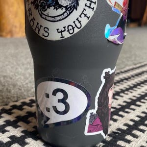 May include: A matte dark gray tumbler covered in various stickers, including a large opossum illustration with the text "TRANS YOUTH," a speech bubble sticker featuring the emoticon ":3," and a sticker of a person with long dark hair in a maroon outfit.