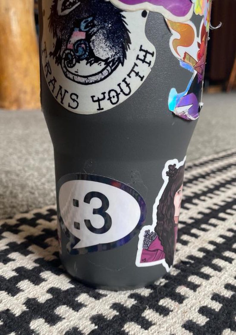 May include: A matte dark gray tumbler covered in various stickers, including a large opossum illustration with the text "TRANS YOUTH," a speech bubble sticker featuring the emoticon ":3," and a sticker of a person with long dark hair in a maroon outfit.