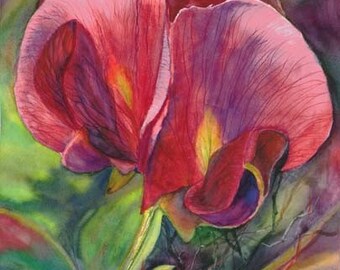Fine Art High Quality Watercolor Print of a Magenta Sweet Pea Flower In The Garden On the Forest Floor by Janet Dosenberry