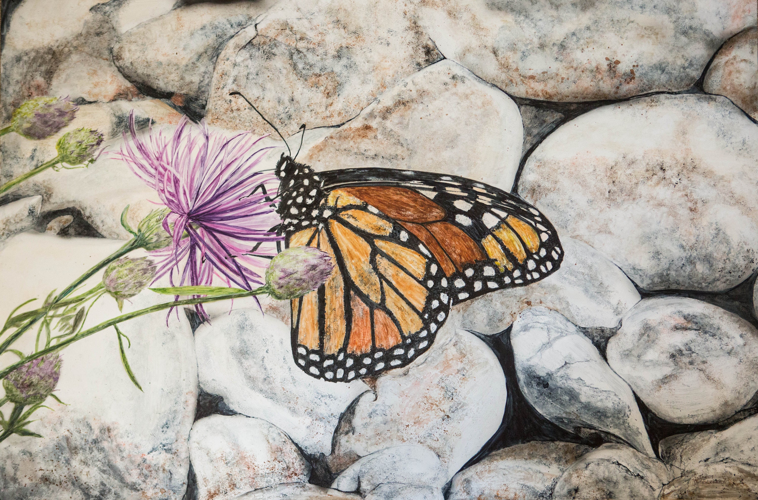 Watercolor Monarch Butterfly Note Cards, Mackinac Island, Set of 6 - Etsy