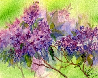 Lilacs, Flowers, Purple, Floral, Colorful, Spring- Green, Watercolor, Spring, Day-time, Plant,Garden, Fine Art Print by Janet Dosenberry