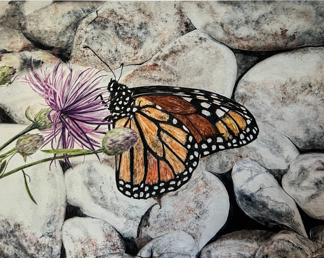 Monarch Butterfly Watercolor Print, King of Wings, Nature Art - Etsy