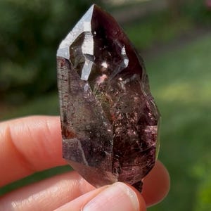 Skeletal Shangaan Amethyst Crystal Quartz Scepters with Red Hematite and Smoky zoning