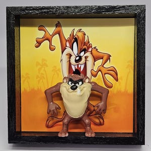 Taz Shadowbox