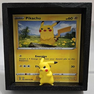 Pikachu Shadowbox