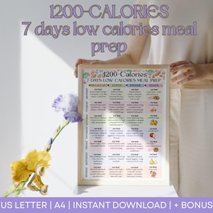 May include: A framed 1200-calorie, 7-day low-calorie meal prep chart. The chart is divided into breakfast, lunch, dinner, and snack sections. The text includes "1200-Calories" and "7 days low calories meal prep". The frame is held by a person.