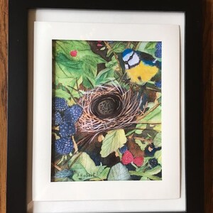 May include: A framed watercolor painting of a bird in a nest surrounded by berries and leaves. The bird has blue, yellow, and white feathers. The painting is signed "B. Hubert" in the lower left corner. The frame is black.