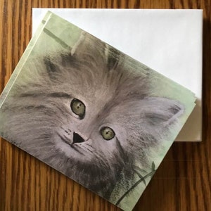Pack of 4 Green Eyed Kitten Cat Cats Greeting Stationery Notecards Envelopes