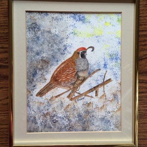 Gambel&#39;s Quail, Original Watercolor Painting 9&quot;x 12&quot;, Colorful Watercolor of Southwestern Quail in its natural habitat