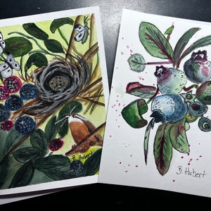 May include: Two watercolor greeting cards featuring nature scenes. One card depicts a bird's nest, berries, butterflies, and a bird. The other card shows a cluster of blueberries with leaves. Both cards are signed "B. Hubert".