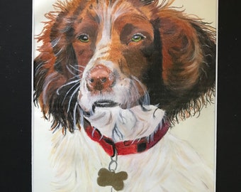 Playful and Wet, Springer Spaniel, an original 9” x12” Mixed Media Colored Pencil painting featuring a Springer Spaniel, Black Mat