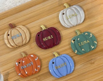 Etiqueta de identificación de calabaza