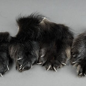 Wolverine Paw Tanned