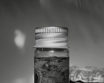 Geconserveerde baby-octopustentakels