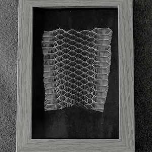 Peut inclure: Une peau de serpent, encadrée dans un cadre en bois gris clair. La peau présente un motif translucide en nid d'abeille, sur un fond noir. Le cadre rectangulaire a un design simple et moderne, idéal pour la décoration.