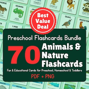 Animals & Nature Flashcards: 70 Printable Learning Cards for Kids (PDF + PNG Download)