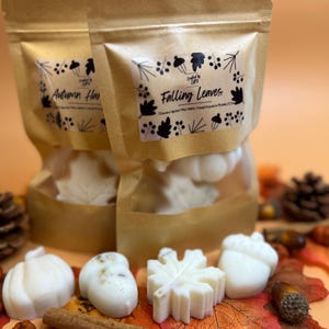 Fall & Halloween Wax Melts | Seasonal Scented Wax Melts in Fun Shapes
