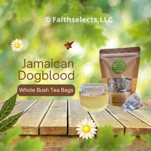 Jamaican Dog Blood bush herb Tea Bags Whole bush Natural Wildcrafted,(Fertility Bush) |Microplastic Free