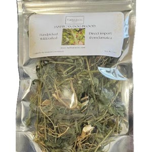Jamaican Dog Blood Bush Herb (Whole Herbs), Wildcrafted,(Fertility Bush)