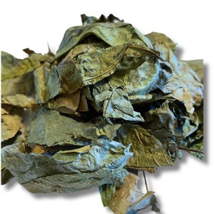 Ra Moon leaves/stems