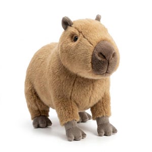 May include: A plush capybara toy in shades of brown and tan. The stuffed animal has a soft, furry texture, with a large, rounded body, small ears, and a prominent snout. The capybara is standing on all fours, with detailed paws.