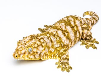 Adult 'Snowflake' New Caledonian Giant Gecko (Rhacodactylus leachianus) - Photographic Print