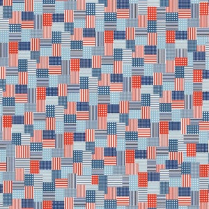 CLEARANCE-Stars & Stripes-Paintbrush Studios-Price for 1 yard