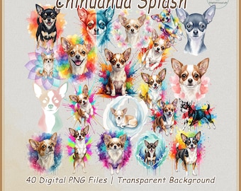 Färgglatt Chihuahua akvarell Clipart-paket, 40 konsthundar PNG, sublimeringsgrafik för husdjursporträtt