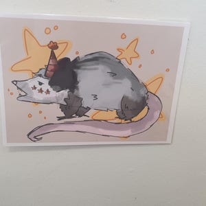 Party Opossum