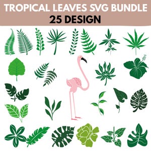Tropical Leaves Svg Bundle, Monstera Leaf Svg, Jungle Leaves Clipart, Palm Branch Svg, digital download, Tropical Party Decor, Summer