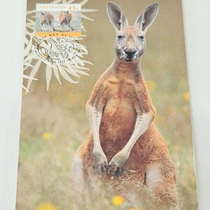 1994 Australia Post Red Kangaroo First Day Issue Postcard | Nature of Australia | Vintage Australian Wildlife Stamp Collectible