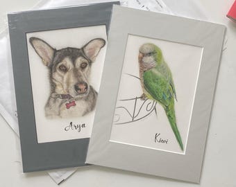 Tierportrait, handgezeichnete Buntstift Vogelzeichnung, personalisiertes Geschenk