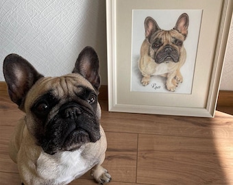 Custom Hand-Drawn Dog Portrait, Colored Pencil Pet Art