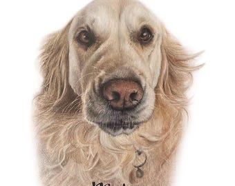Custom Pet Portrait - Hand Drawn Colored Pencil Fine Art Dog Cat Animal ...