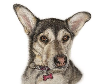 Custom Hand-Drawn Dog Portrait, Colored Pencil Pet Art