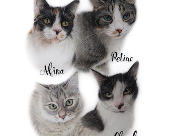 Custom Cat Portrait | Pencil Pet Drawing | Realistic Hand Drawn Pet Art