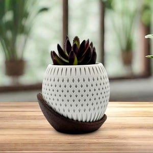 3D gedruckter Pflanzer mit recyceltem 3D gedrucktem gebeiztem Holzsockel - geometrischer Harmony-Planter - 3 ", 4 ", 5 ", 6 "", 7 ""- Moderner Sukkulenten-Planter."