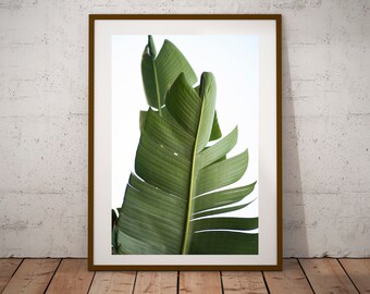 Digital Download, Botanical Photographic, Plant, Wall Art, Photo Printable, Botanical Decor, Interior Decorating Digital Print, Palm Trees