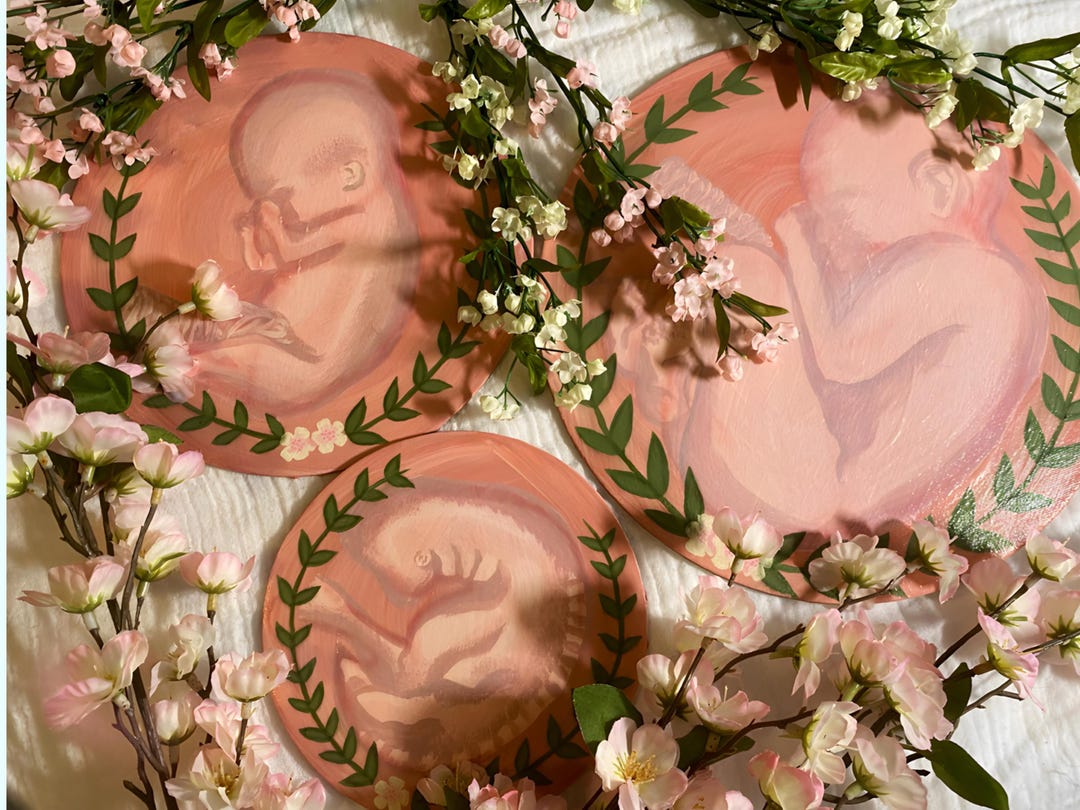 OB/GYN Fetal Development Set of 3 No-frame Paintings for Office ...