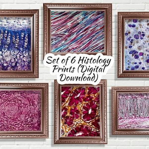 Histology Watercolor Art Prints: Science Wall Decor (Digital Download)