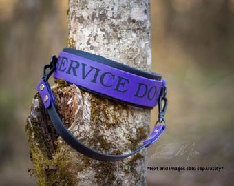2” Layered Collar with removable handle